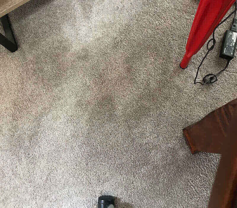 Should Carpet be Replaced after Water Damage