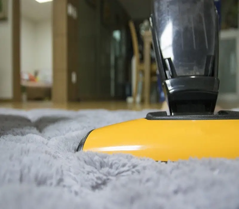 best approaches for a fresh and clean carpet