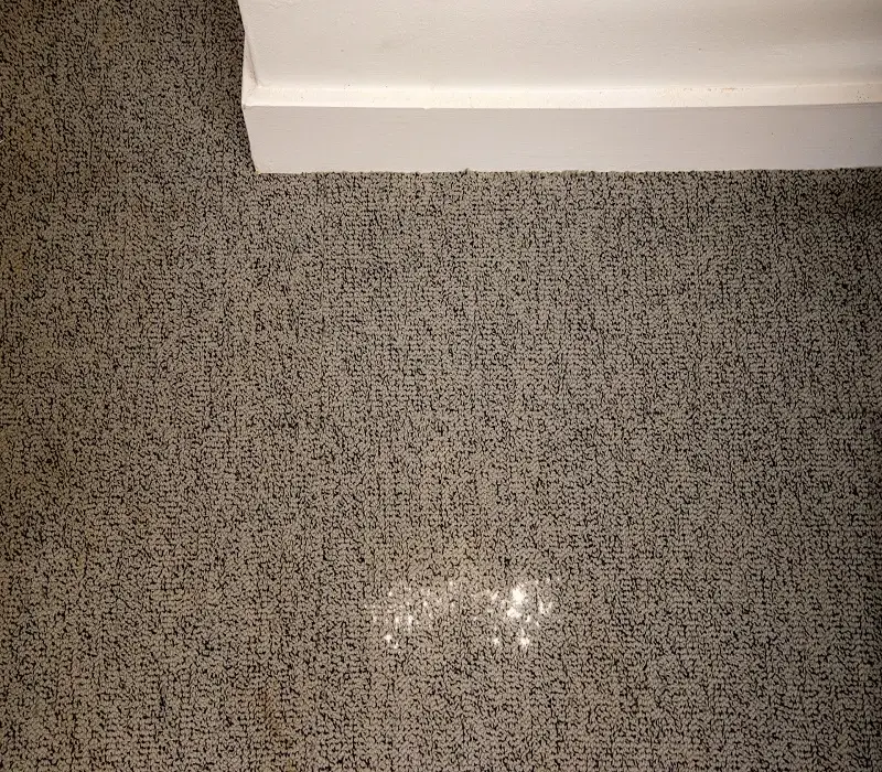 How to Get Flour Out of Carpet