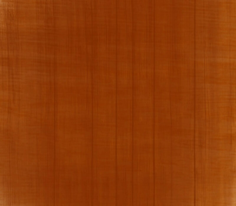 Wood texture background 392355