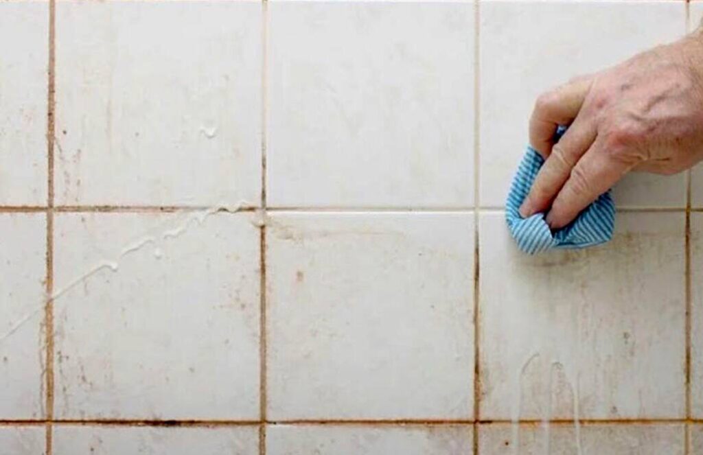 Orange Mold in Shower