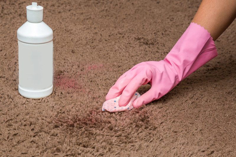 How to Remove Pollen Stains from Carpet 2