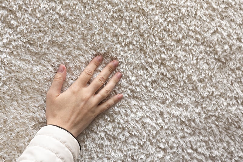 carpet urine