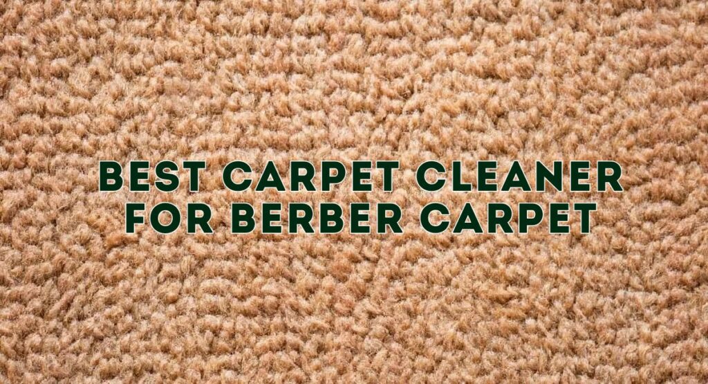 Best carpet cleaner for berber carpet