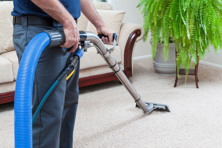 Best carpet cleaner for berber carpet