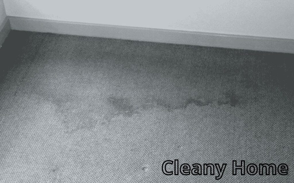 Cleany Home 11 1