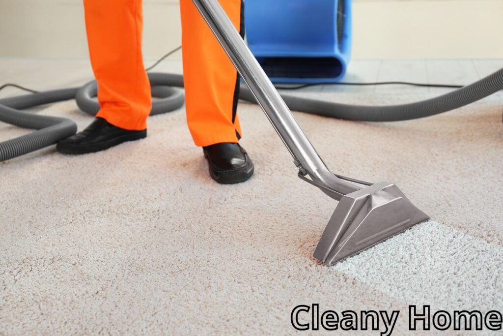 Best Approaches For a Fresh and Clean Carpet 