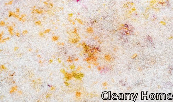 How to Remove Pollen Stains from Carpet 