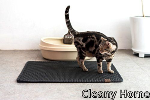 Cleany Home 45