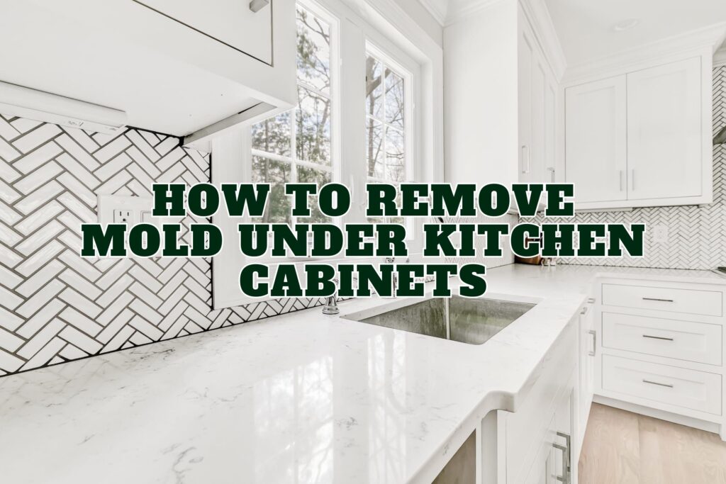 How To Remove Mold Under Kitchen Cabinets